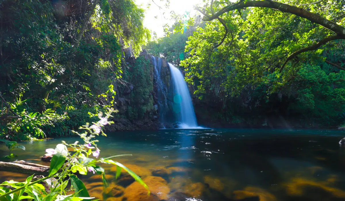 Cascade de Minissy à Moka : un site naturel à découvrir avec prudence